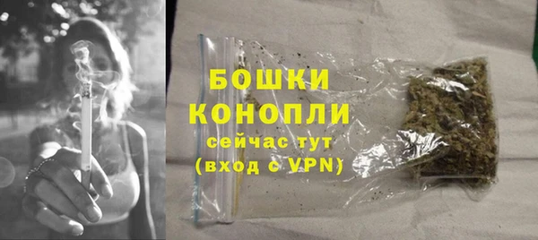 бошки Краснослободск