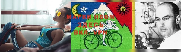 бошки Краснослободск